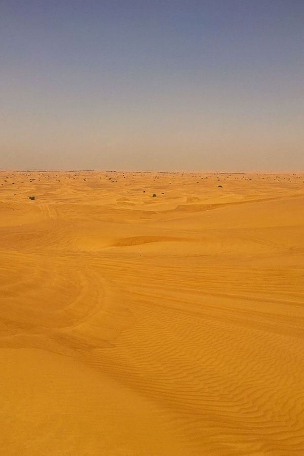Activités incontournables Dubaï - Le désert